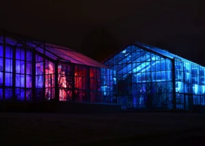 Lichtkünstler Benjamin Rachfahl schafft eine besondere Stimmung in den Gewächshäusern des Botanischen Gartens, © Botanischer Garten Kiel Besondere Stimmung in den Gewächshäusern des Botanischen Gartens, © Botanischer Garten Kiel