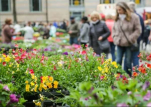 Bunte Blumen liegen in der Innenstadt aus, im Hintergrund Passanten