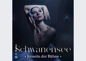 Schwanensee - Jenseits der Bühne - Live Streichquartett