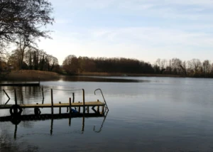 Holzsteg mit Leiter an einem ruhigen See, umgeben von herbstlichen Bäumen.