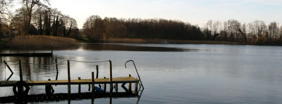 Herbstliche Stimmung am See mit Holzsteg und ruhiger Wasserfläche. Holzsteg mit Leiter an einem ruhigen See, umgeben von herbstlichen Bäumen.
