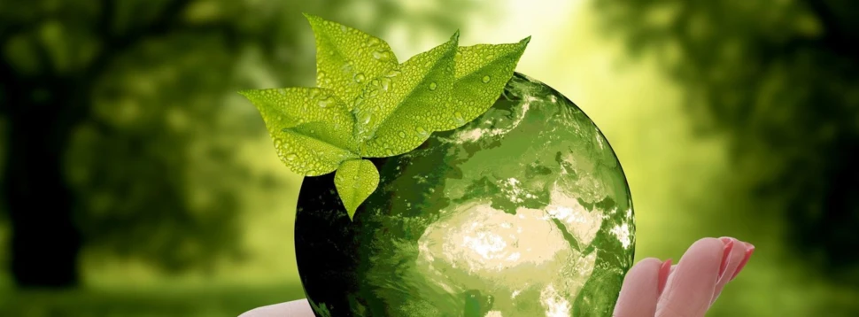 Die Erde als grüne Kugel in der Hand eines Menschen, an dessen oberer linker Seite sich Blätter befinden