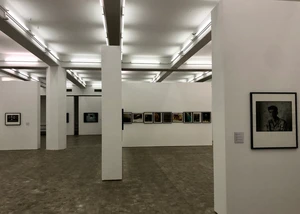 Moderne Galerieausstellung mit zeitgenössischen Fotografien. Innenansicht einer modernen Galerie mit Fotografien und Kunstwerken an weißen Wänden.