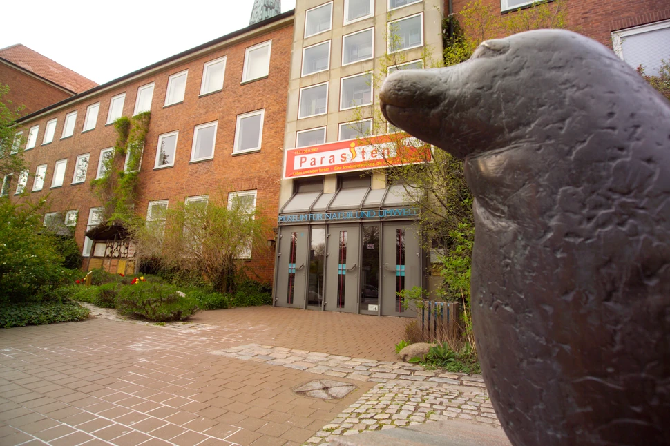 Museum für Natur und Umwelt