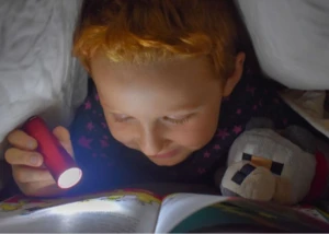 Ein Kind beim Lesen Ein Kind liest mit einem Plüschtier und einer Taschenlampe unter der Bettdecke ein Buch
