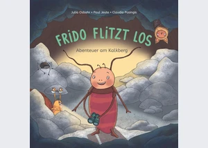 Kinderbuch Frido flitzt los