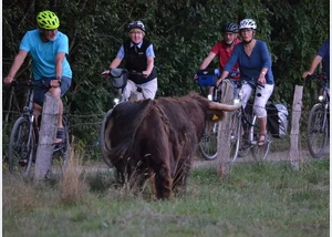 Neumünster per Rad entdecken Tour 1