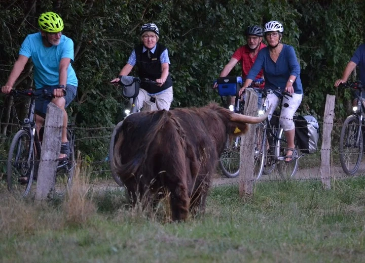 Neumünster per Rad entdecken Tour 1