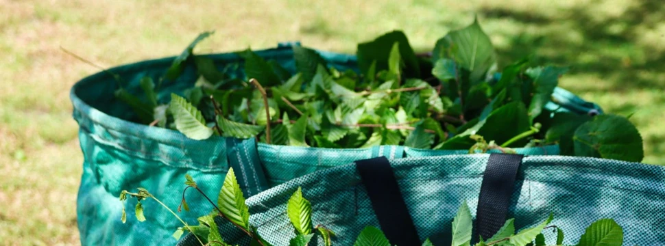 Grünschnitt in einer grünen Tüte