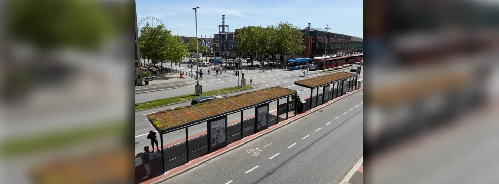 Die grünen Dächer der neuen Bushaltestellen, © Alexandra Brecht/LH Kiel