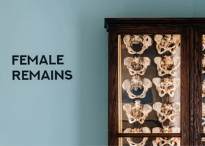 Einunddreißig weibliche Beckenskelette in einem Schrank als Teil einer Kieler Ausstellung