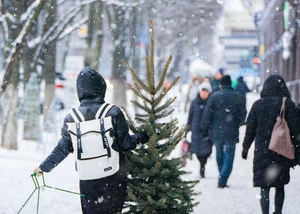 Person trägt Tannenbaum durch verschneite Stadtstraße im Winter.