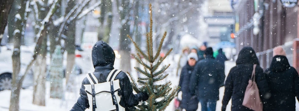 Person trägt Tannenbaum durch verschneite Stadtstraße im Winter.