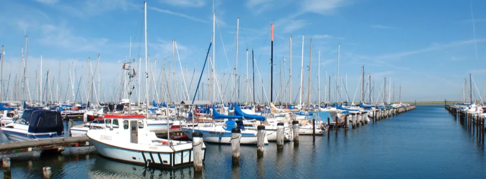 Segelboote und ein Motorboot im sonnigen Hafen bei blauem Himmel.