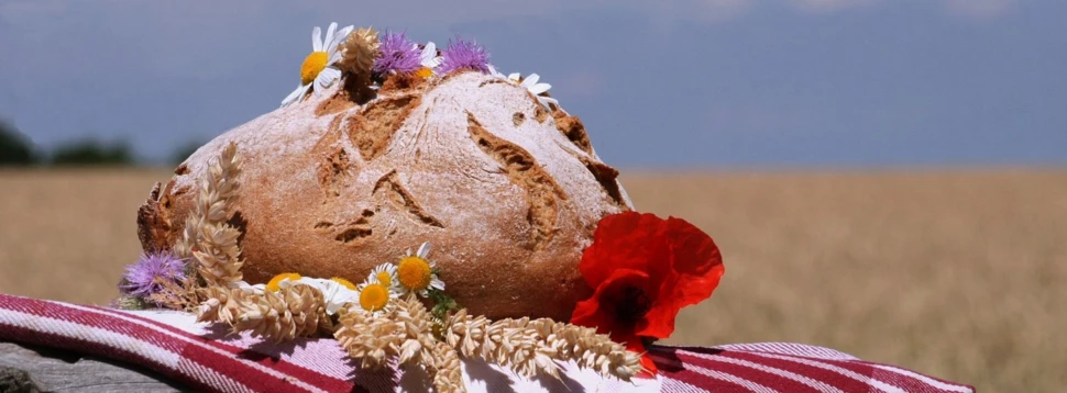 Ein Bauernbrot mit Blumen- und Ährendekoration auf einem karierten Tuch vor einem Getreidefeld.