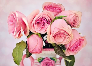 Rosen Rosen, © pixabay.com / Jill Wellington