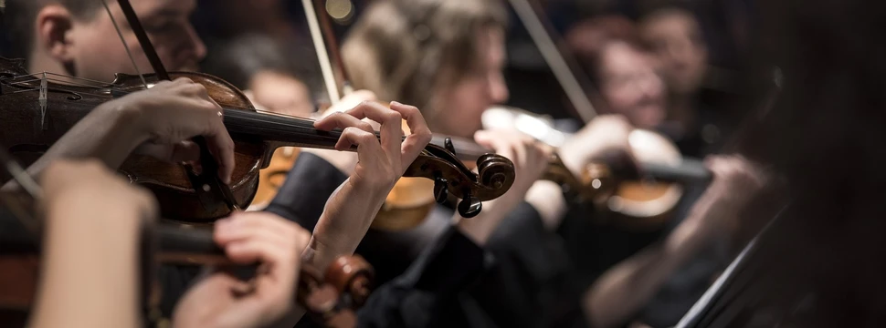 Das Philharmonische Orchester Kiel sorgt für große Emotionen Geigenspieler im Konzert in Nahaufnahme