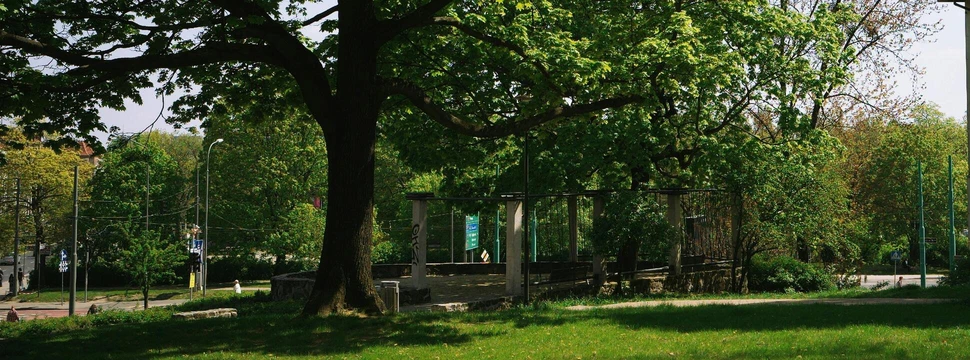 Ein Haus neben einem Baum, der Blätter trägt, und einer kleinen Grünanlage