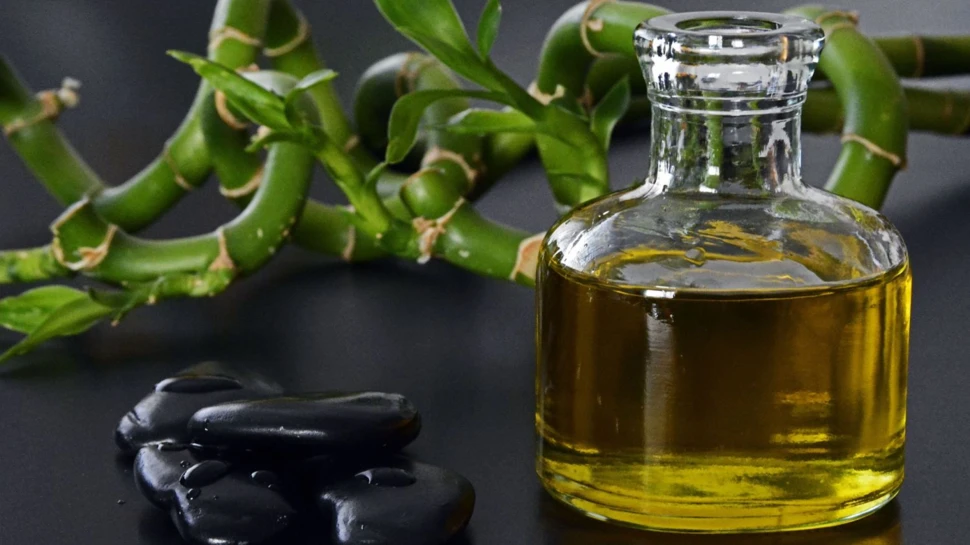 Mehrere schwarze Steine neben einer Pflanze und einem Gefäß mit Öl