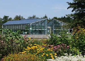 Ein Gewächshaus mit Glasfenstern im Botanischen Garten der Kieler Uni umgeben von verschiedenfarbigen Pflanzen und mit dem blauen Himmel im Hintergrund