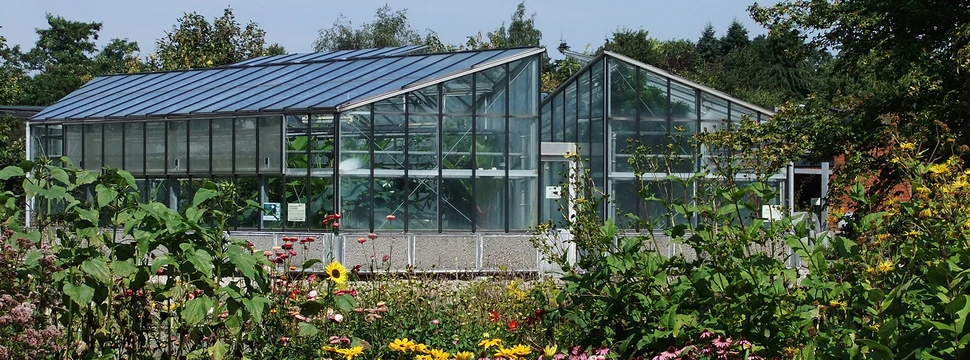 Ein Gewächshaus mit Glasfenstern im Botanischen Garten der Kieler Uni umgeben von verschiedenfarbigen Pflanzen und mit dem blauen Himmel im Hintergrund