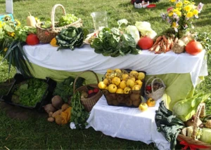 Ein Tisch mit frischem Obst, Gemüse und Blumen in Körben und Kisten auf einer Wiese.