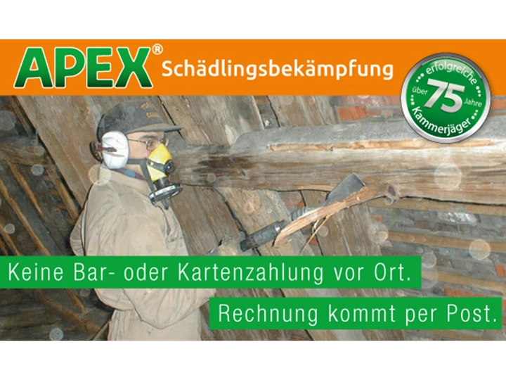 Galerie-Bild 11: . von APEX GmbH Schädlingsbekämpfung 