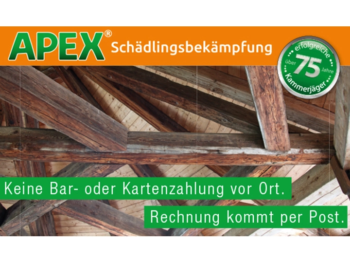 Galerie-Bild 12: . von APEX GmbH Schädlingsbekämpfung 