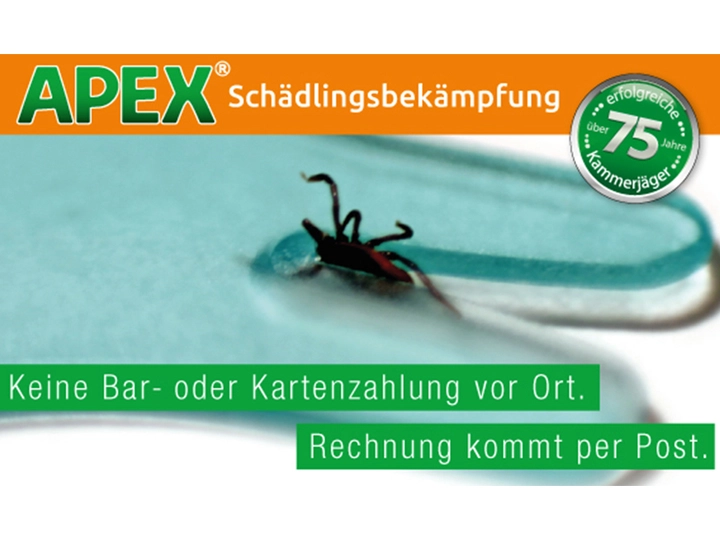 Galerie-Bild 15: . von APEX GmbH Schädlingsbekämpfung 