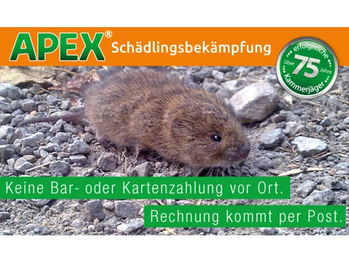 Galerie-Bild 16: . von APEX GmbH Schädlingsbekämpfung 