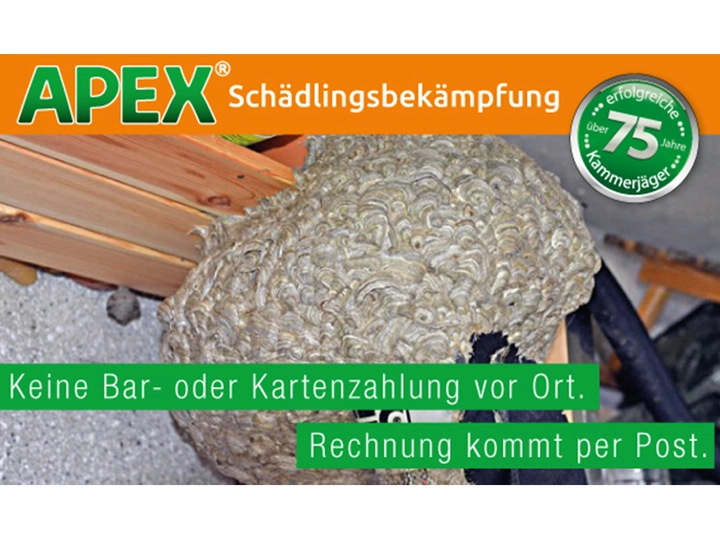Galerie-Bild 17: . von APEX GmbH Schädlingsbekämpfung 