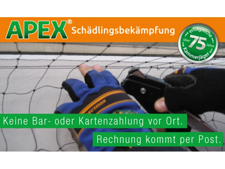 Galerie-Bild 19: . von APEX GmbH Schädlingsbekämpfung 