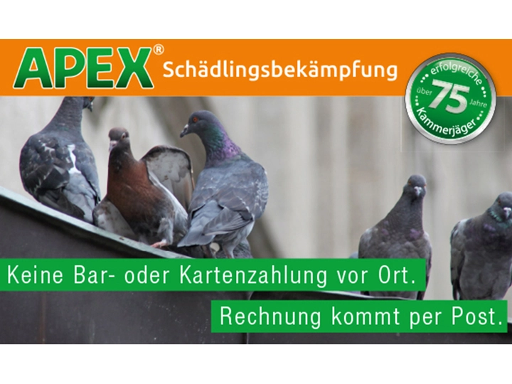 Galerie-Bild 20: . von APEX GmbH Schädlingsbekämpfung 