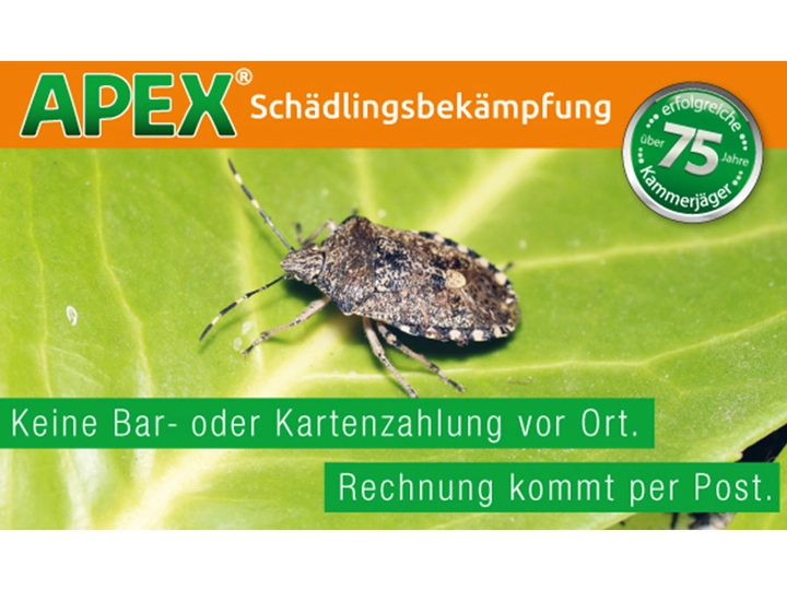 Galerie-Bild 21: . von APEX GmbH Schädlingsbekämpfung 