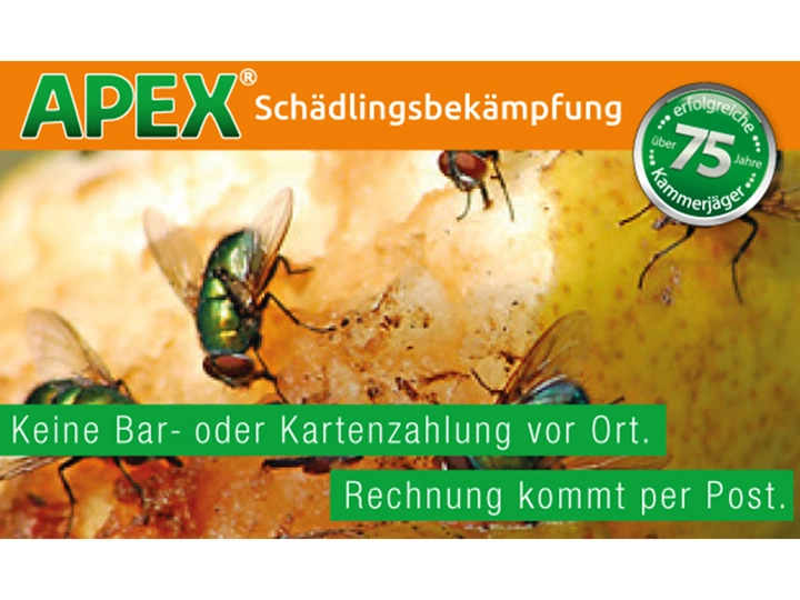 Galerie-Bild 22: . von APEX GmbH Schädlingsbekämpfung 