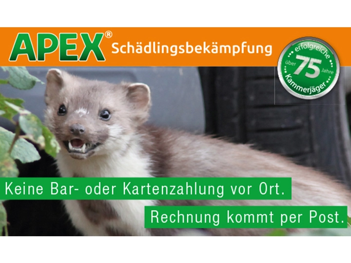 Galerie-Bild 25: . von APEX GmbH Schädlingsbekämpfung 