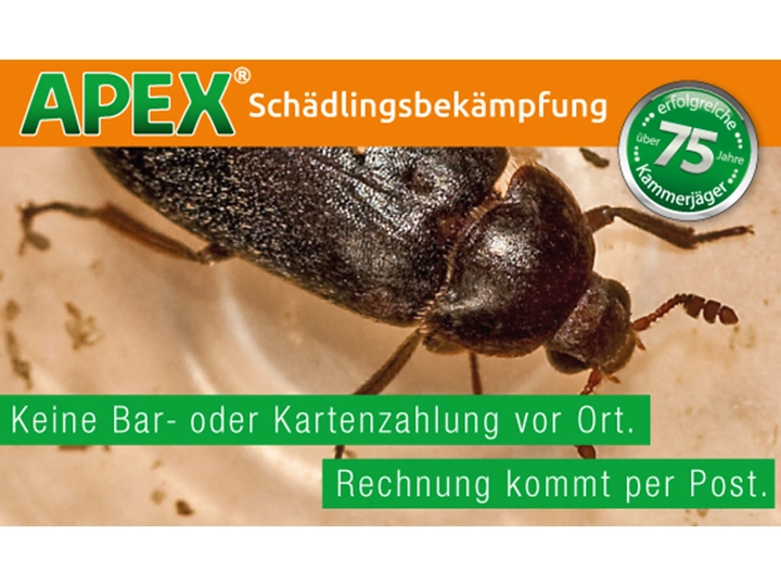 Galerie-Bild 26: . von APEX GmbH Schädlingsbekämpfung 