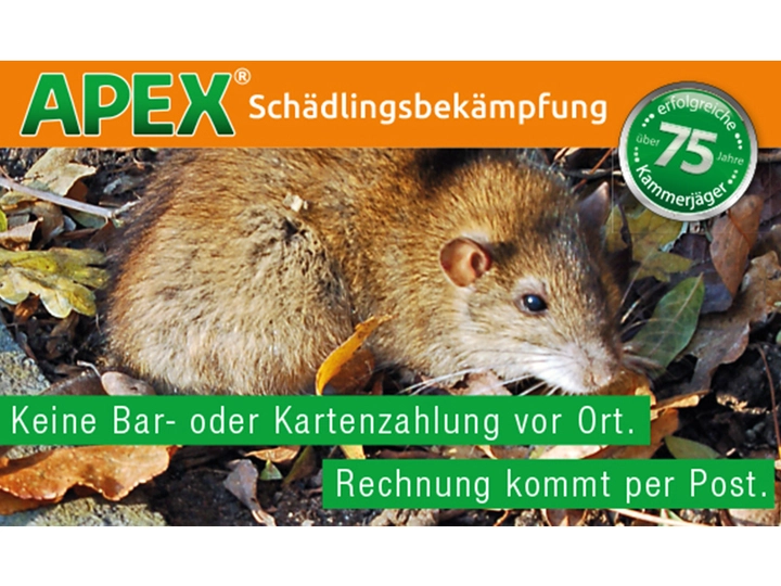 Galerie-Bild 28: . von APEX GmbH Schädlingsbekämpfung 
