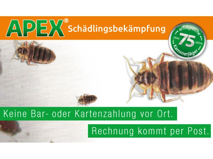Galerie-Bild 3: . von APEX GmbH Schädlingsbekämpfung 