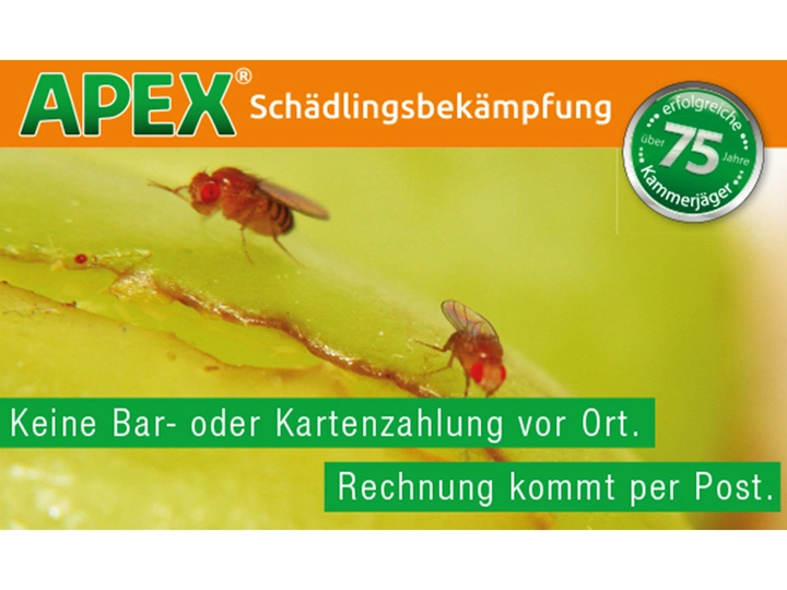 Galerie-Bild 8: . von APEX GmbH Schädlingsbekämpfung 
