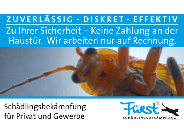 Galerie-Bild 10: . von Fürst Schädlingsbekämpfung 