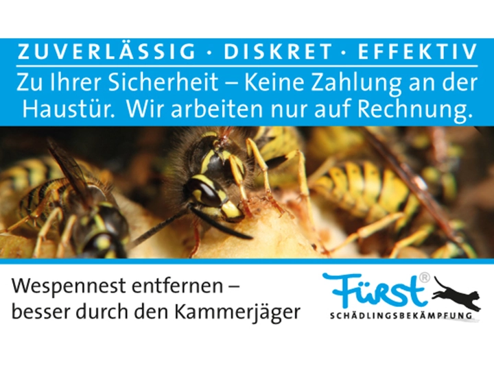 Galerie-Bild 6: . von Fürst Schädlingsbekämpfung 
