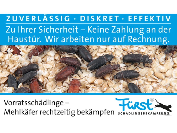 Galerie-Bild 7: . von Fürst Schädlingsbekämpfung 