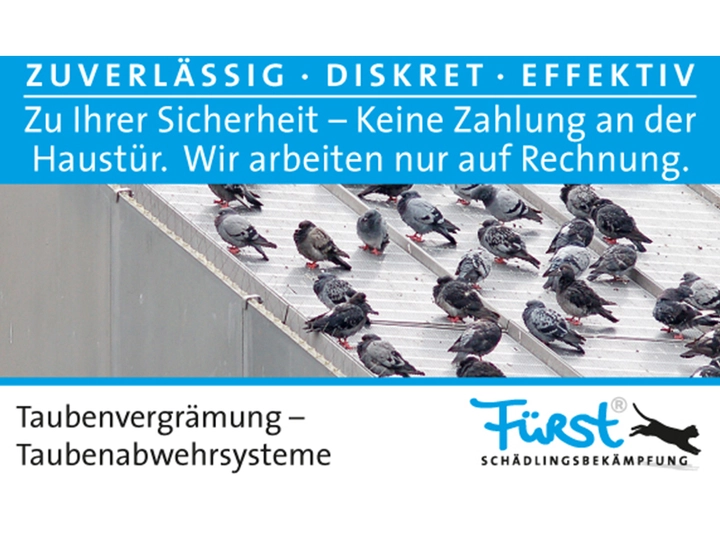 Galerie-Bild 8: . von Fürst Schädlingsbekämpfung 