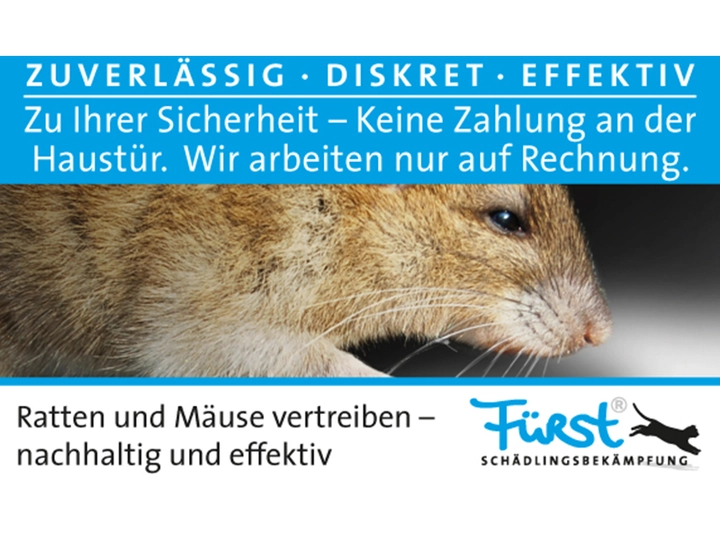 Galerie-Bild 9: . von Fürst Schädlingsbekämpfung 