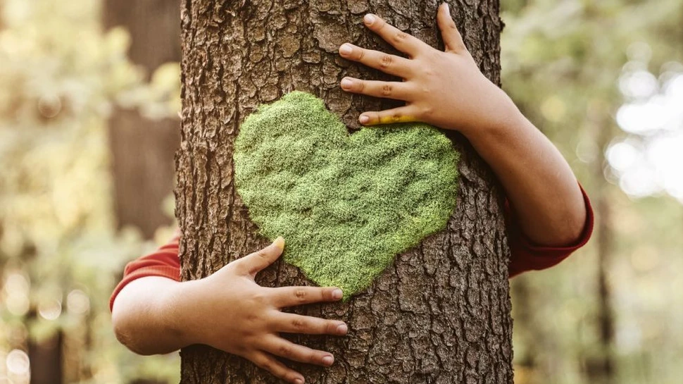 Kind umarmt einen Baum der mit einem grünen Moosherz besetzt ist