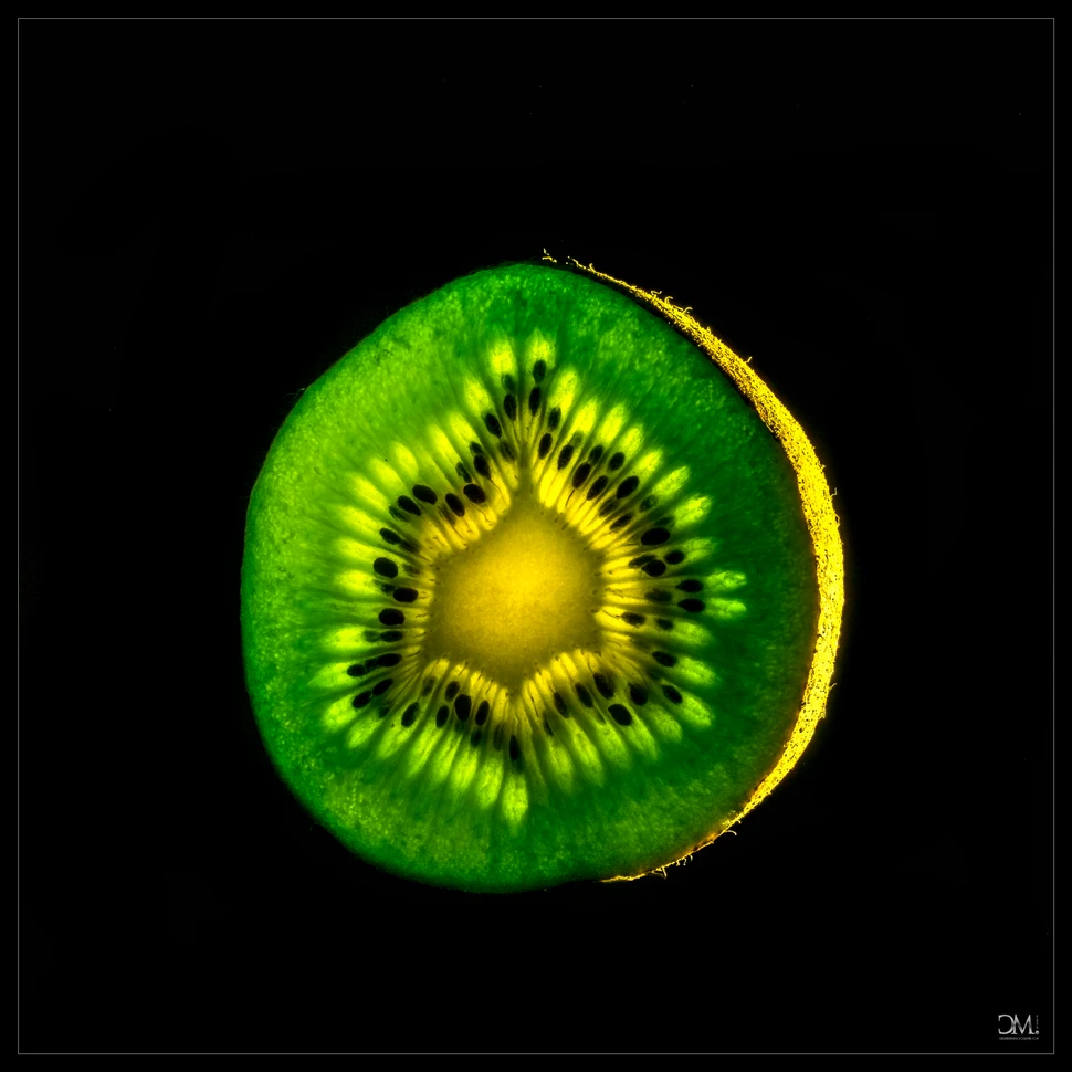 Ausstellung Fotoclub Mai2 Ausstellung Fotoclub Mai2