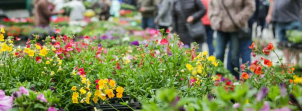 Mit Blumen, Kunst und Sport kehrt der Frühling zurück in die Kieler Innenstadt, © Nicole Riederer, Kiel-Marketing