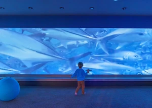 Ein Kind in einem blauen Oberteil vor einem Bildschirm, auf dem Fisch zu sehen sind