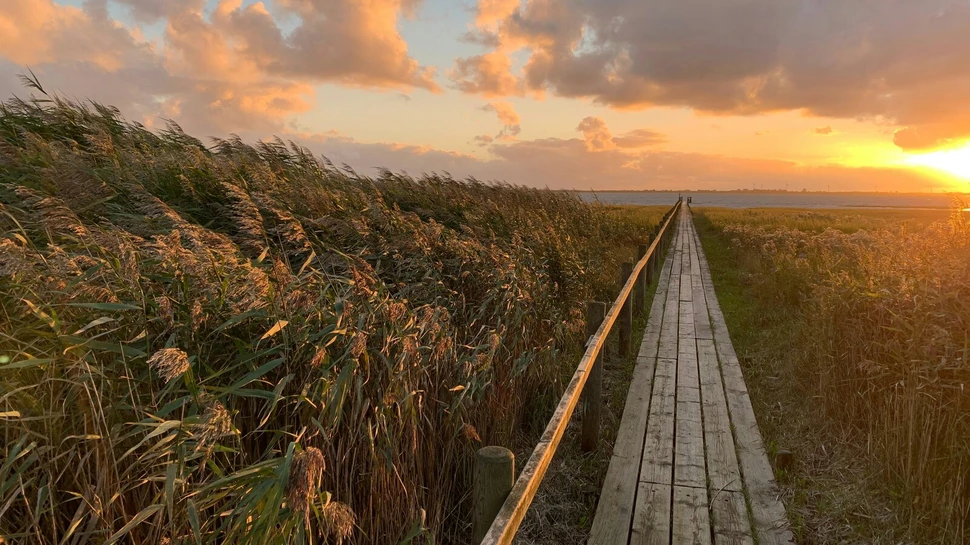 Ein Holzsteg führt zum Meer. Im Hintergrund sieht man ein Sonnenuntergang